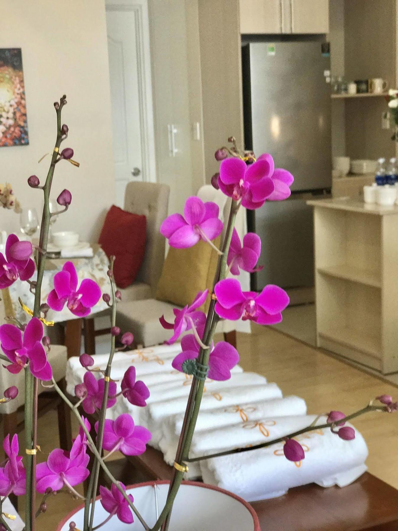 Anada Hotel Suites Da Lat Eksteriør billede